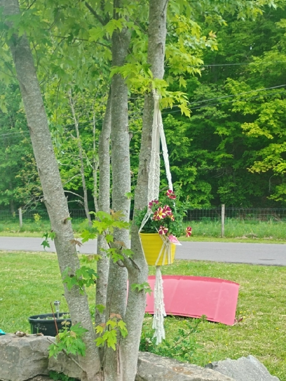 Handmade, Large, 50" Long, Macrame Plant Hanger